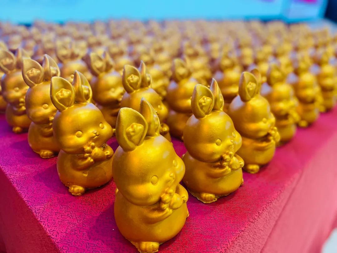 「共营」当下，加成未来！万喜电器2023（淮安）营销峰会隆重举行(图14)