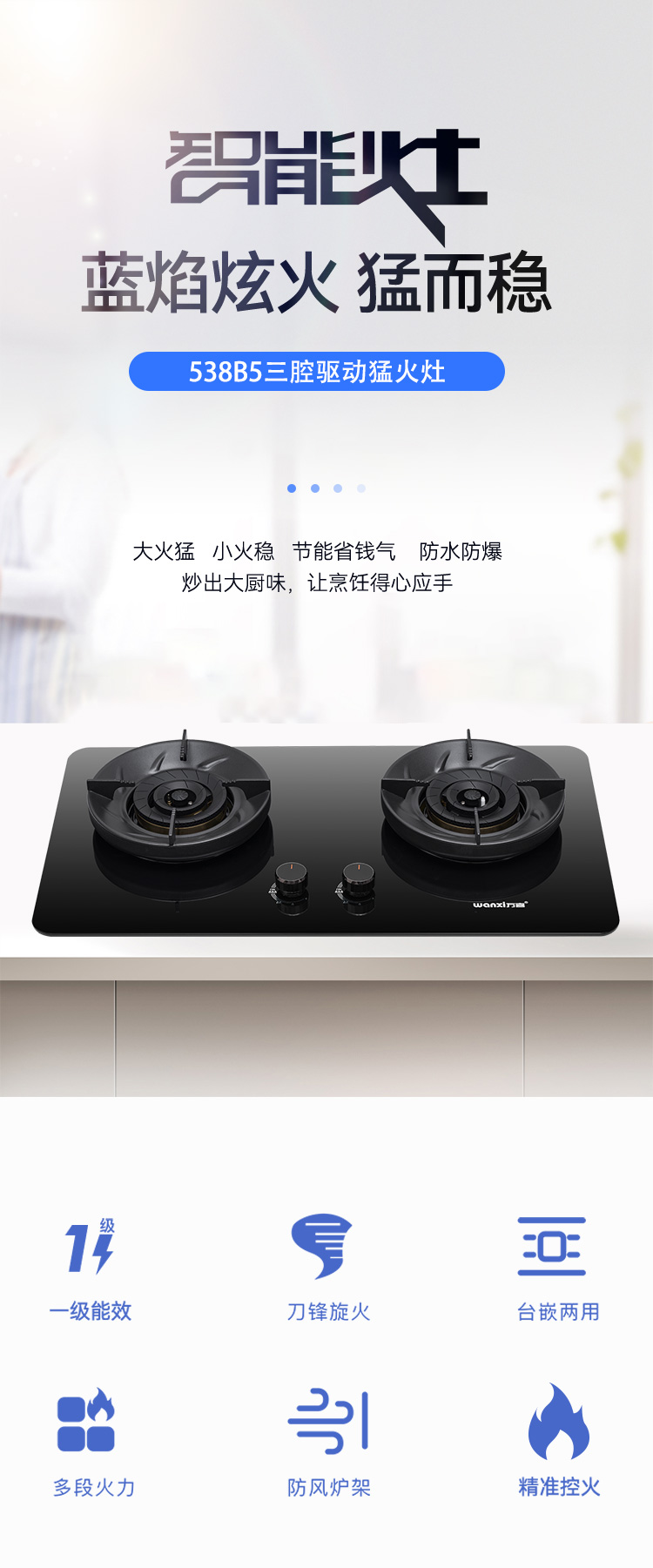 538B5 钢化玻璃面板嵌入式双炉(图1)