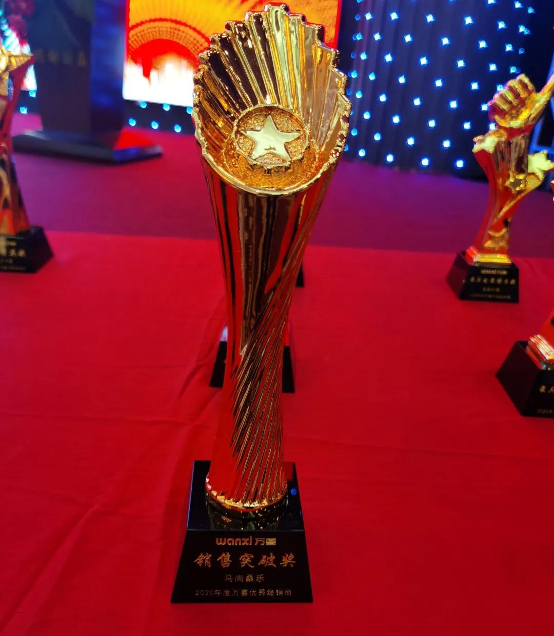 融合梦想 · 共赢2021 | 山东淄博万喜厨卫优秀经销商年度盛会圆满举行(图10)