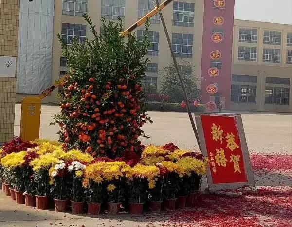 万喜电器2021年2月动态(图6)