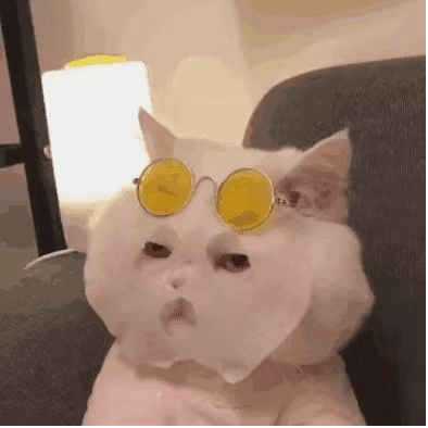 当代年轻人网络流行的交流是........(图11)