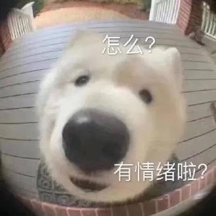 当代年轻人网络流行的交流是........(图14)