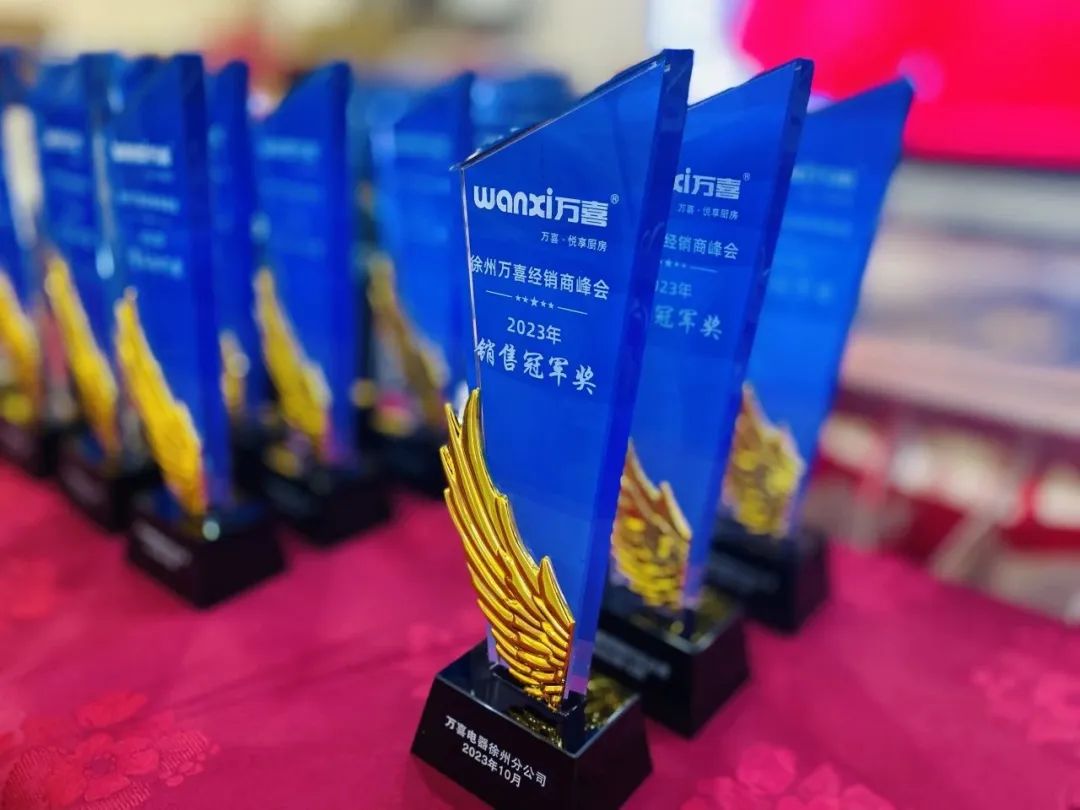 万喜电器2023年度营销峰会圆满落幕：亮剑2024集成新品类，探寻辉煌未来(图21)