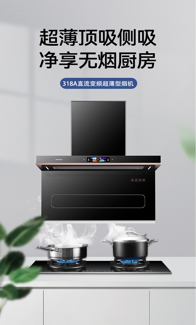 318A直流变频超薄型烟机(图1)