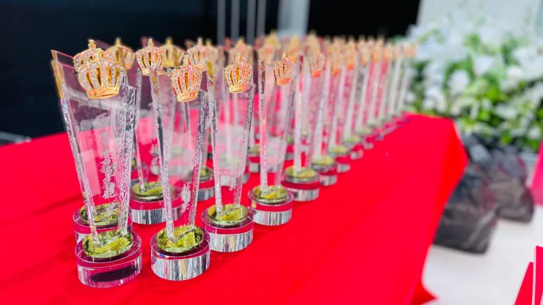 徐州连云港地区万喜电器营销峰会圆满落幕：同心合力，赢战 2025！(图12)