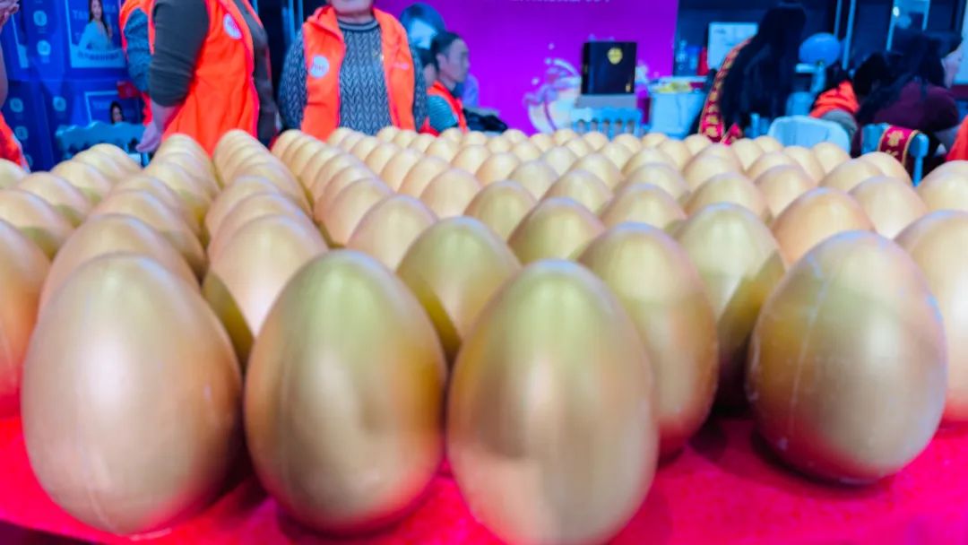 徐州连云港地区万喜电器营销峰会圆满落幕：同心合力，赢战 2025！(图30)