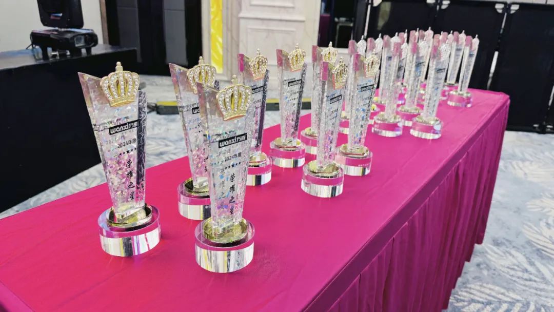 同心致远，聚力腾飞！淮安万喜2024经销商峰会活动顺利举行(图34)