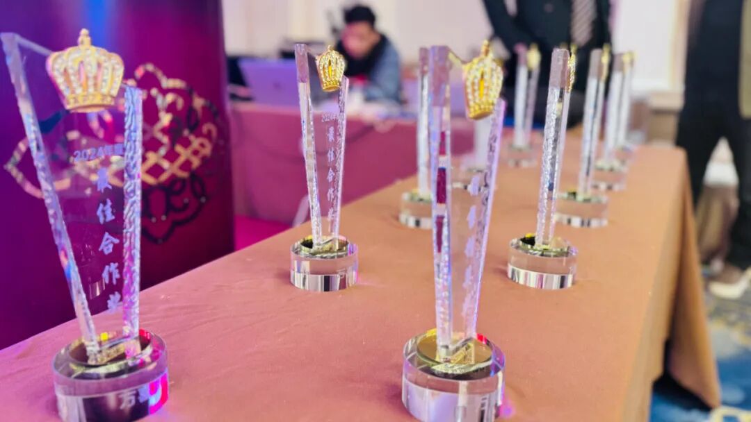 乘风破浪向前行，众志成城创辉煌！2025 万喜电器南京营销峰会盛大召开(图13)