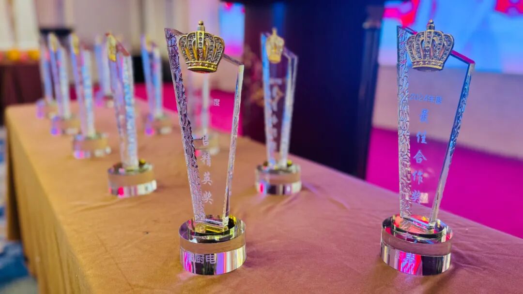 乘风破浪向前行，众志成城创辉煌！2025 万喜电器南京营销峰会盛大召开(图14)