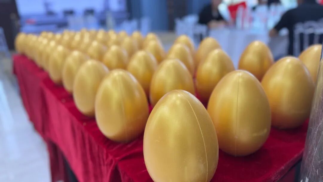 携手共赢！2025菏泽万喜电器启动会暨培训会圆满收官，全国招商火热进行中(图6)