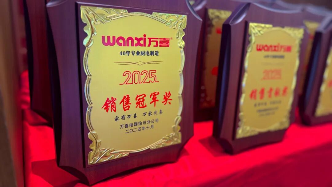 聚势增长 共生致远 | 2025徐州万喜电器营销峰会圆满落幕！(图22)