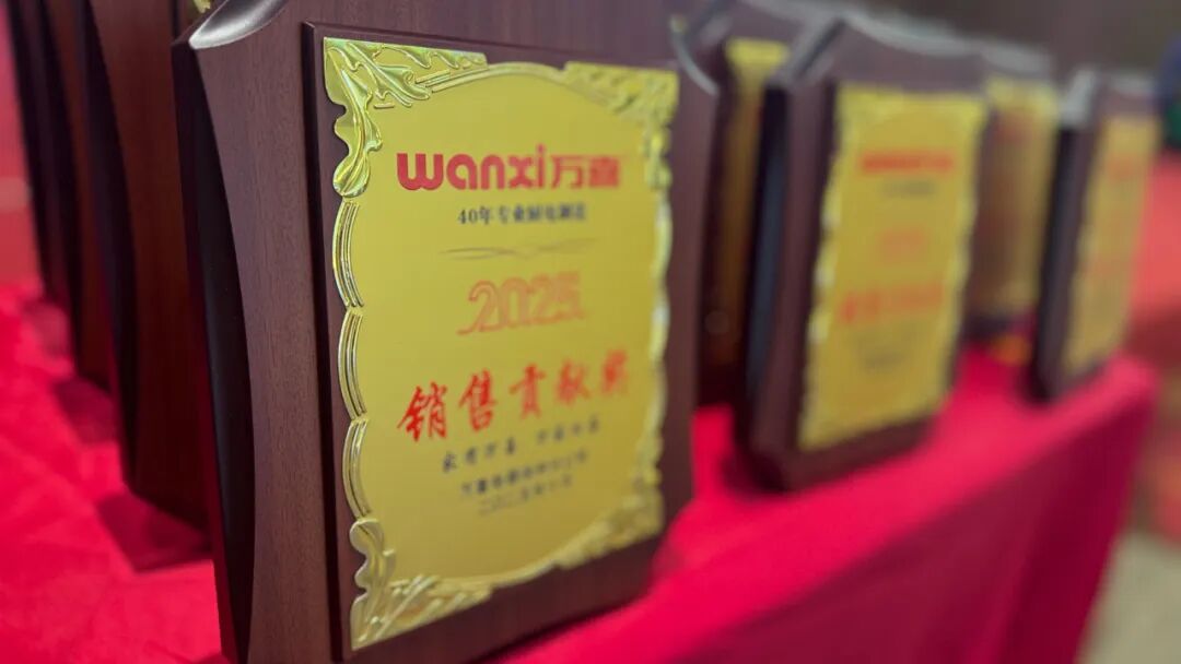 聚势增长 共生致远 | 2025徐州万喜电器营销峰会圆满落幕！(图23)