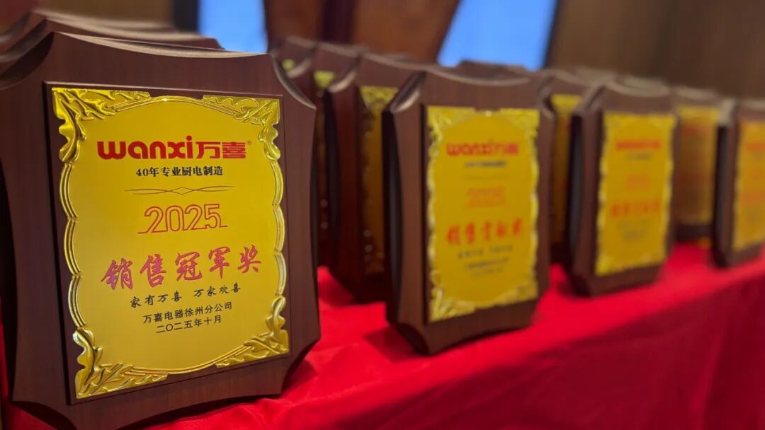 聚势增长 共生致远 | 2025徐州万喜电器营销峰会圆满落幕！(图25)