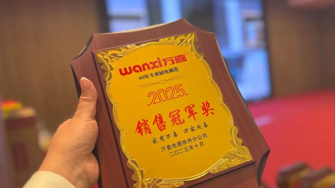 聚势增长 共生致远 | 2025徐州万喜电器营销峰会圆满落幕！(图24)