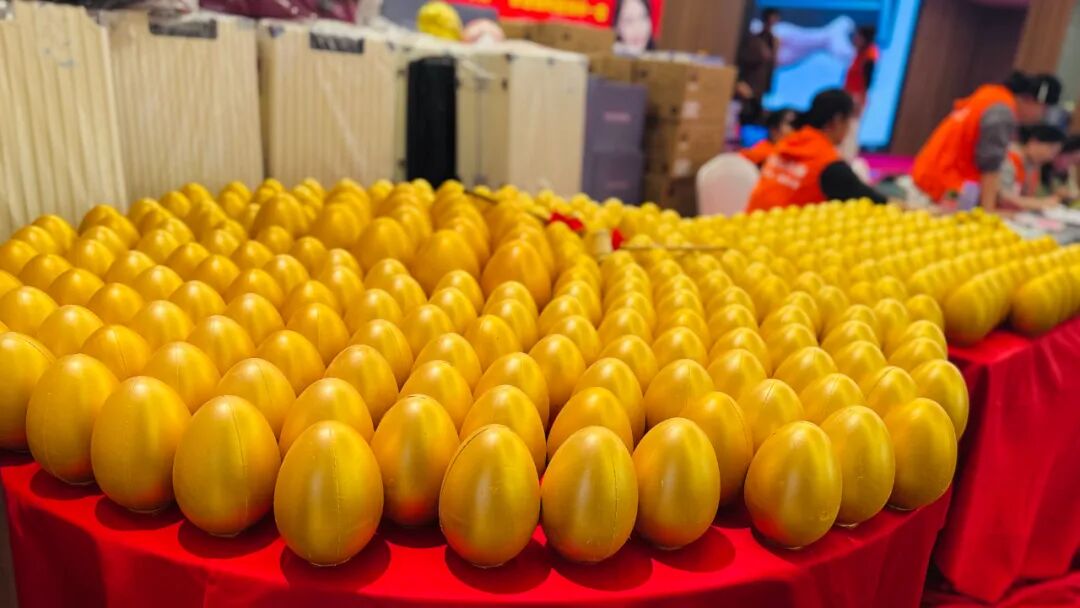 聚势增长 共生致远 | 2025徐州万喜电器营销峰会圆满落幕！(图29)