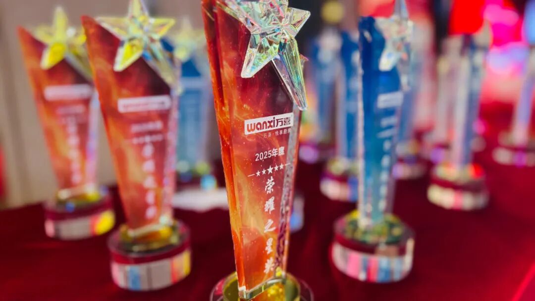 万聚淮彩，喜启新程 | 淮安万喜电器2025经销商峰会精彩回顾(图22)