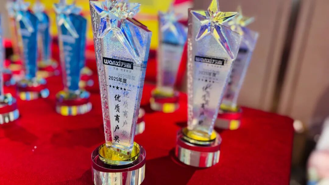 万聚淮彩，喜启新程 | 淮安万喜电器2025经销商峰会精彩回顾(图25)